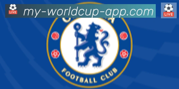 世界杯客户端下载合作伙伴